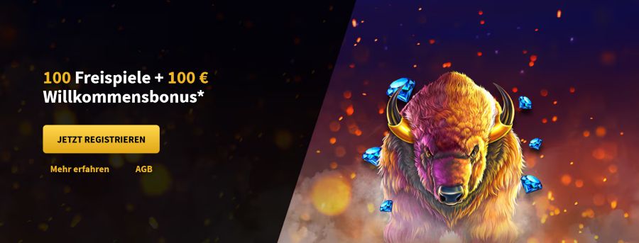 Login bei Arena